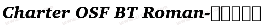 Charter OSF BT Roman字体转换